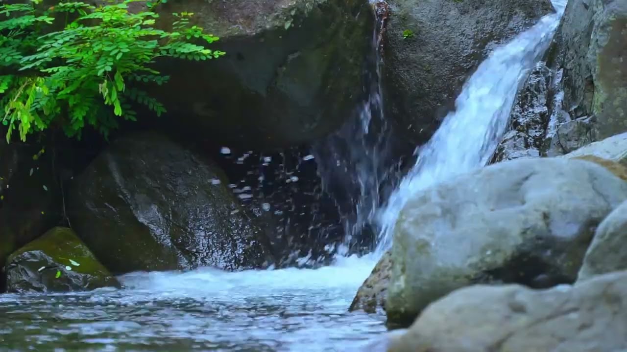 Peaceful River Sounds for Studying and Focus | Nature White Noise for Brain Power