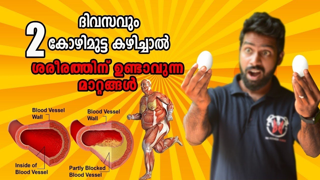 ദിവസവും 2  കോഴിമുട്ട കഴിച്ചാൽ ശരീരത്തിന് ഉണ്ടാവുന്ന മാറ്റങ്ങൾ