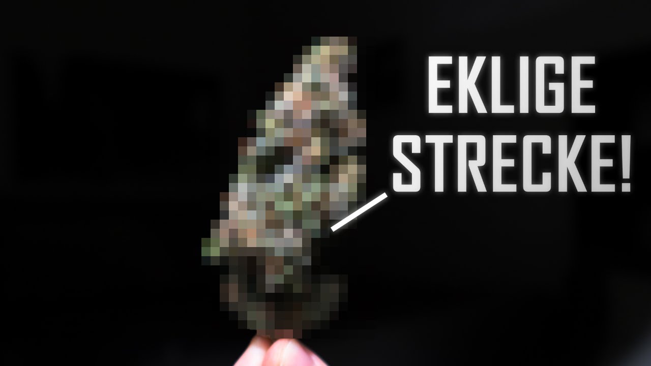 GESTRECKTES GRAS! | 10 Krasse F&auml;lle von versetzten BL&Uuml;TEN