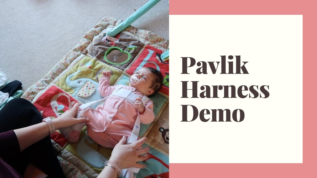 HOW TO PUT ON / TAKE OFF THE PAVLIK HARNESS