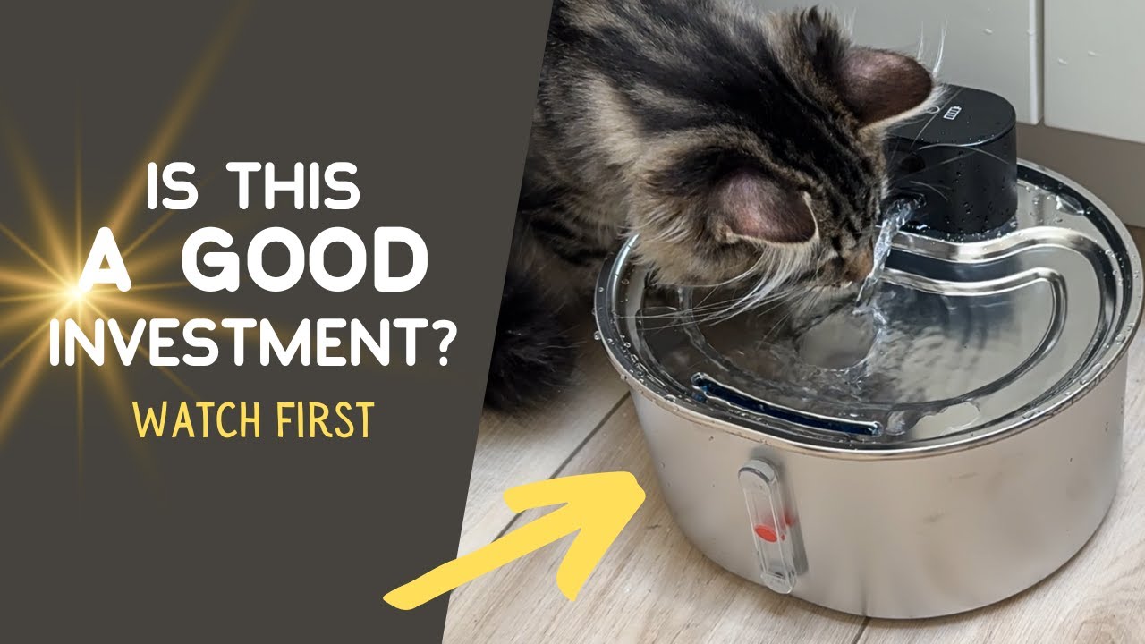 Amazon Finds - Cordless Automatic Cat Water Fountain - Amazon Product Review