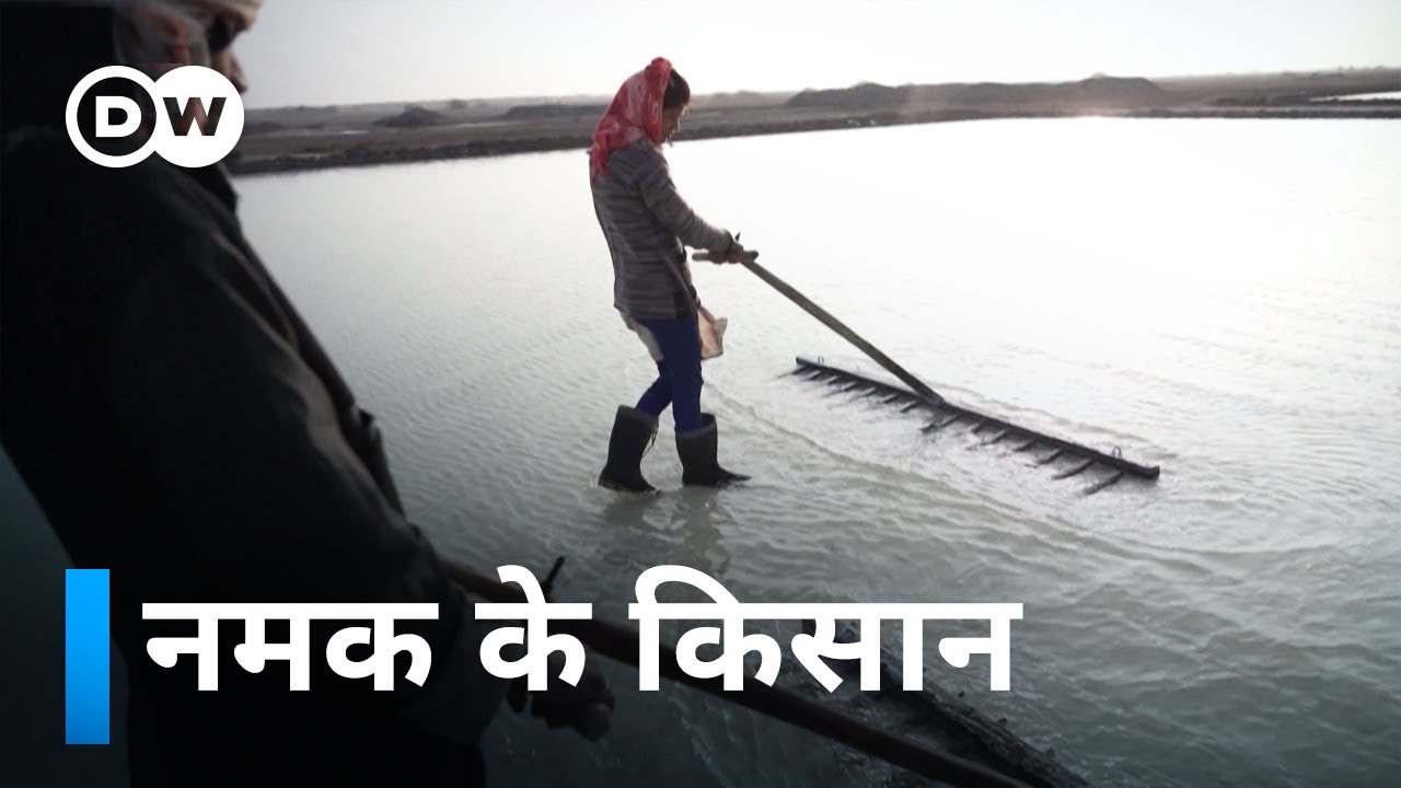 गुजरात: एक किलो नमक के सिर्फ 30 पैसे मिलते हैं इन्हें [India's desert salt farmers]