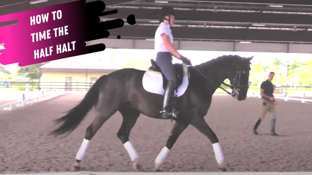 Robert Dover:  How To Time The Half Halt In Dressage