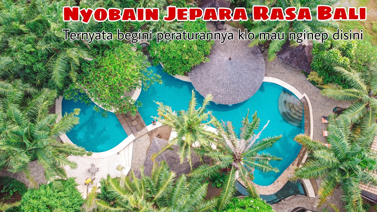Rekomendasi resort di Jepara | wajib kesini ❗️Coconut Lodge Resort 
