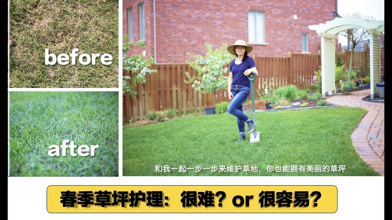 【春季草坪维护】18•园艺/草坪好看难养，但是掌握好时机做对事情却能事半功倍，跟我来一起除野草抓害虫整理草坪养护草坪。