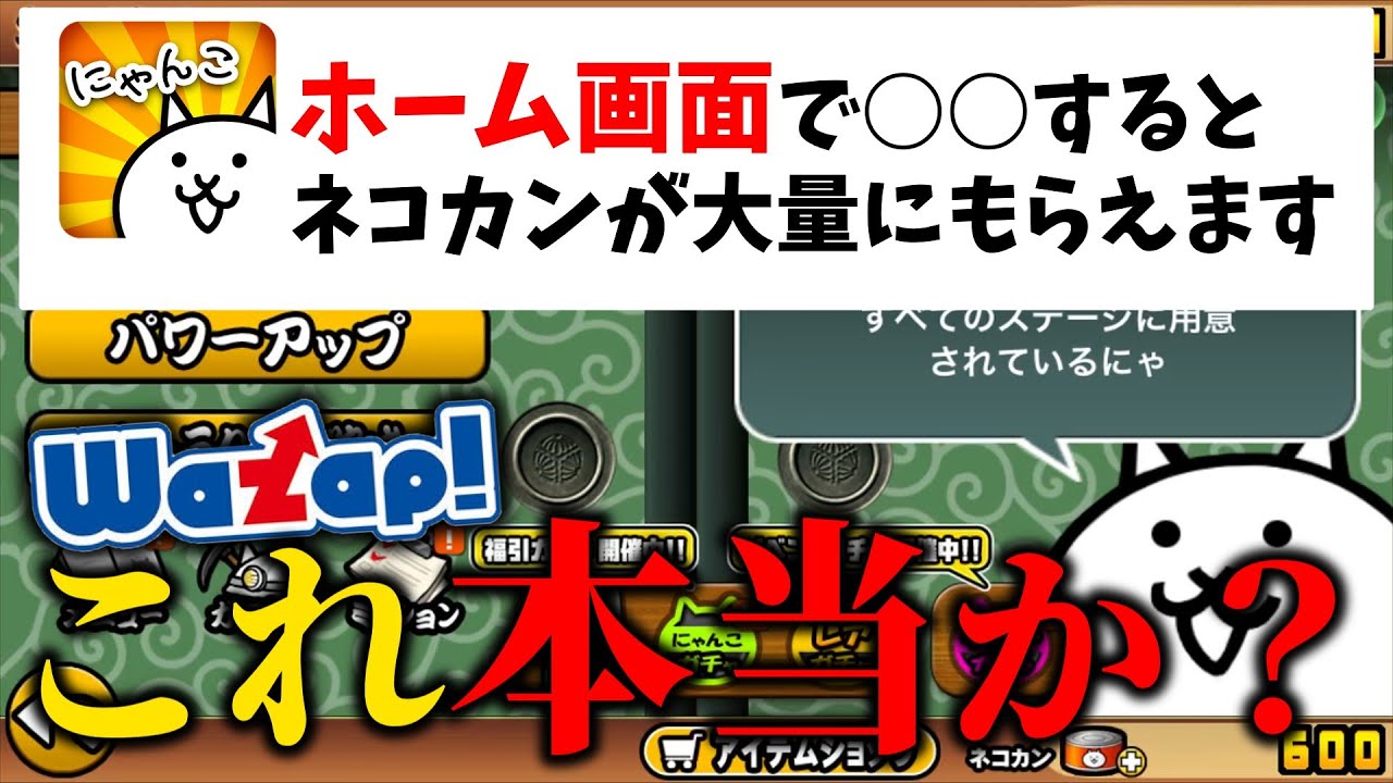 ネコカンが大量にもらえるらしい裏技試してみた【にゃんこ大戦争】