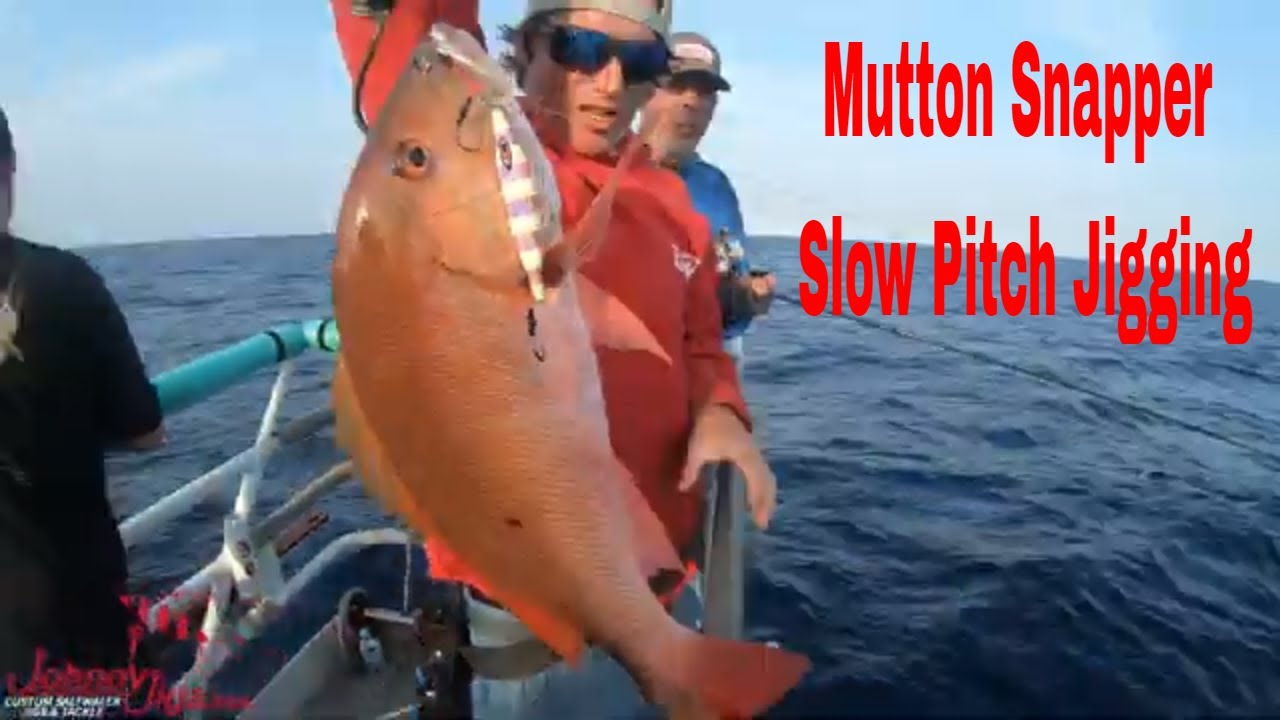 Slow Pitch Jigging for Grouper and  Snapper On the Yankee Capt