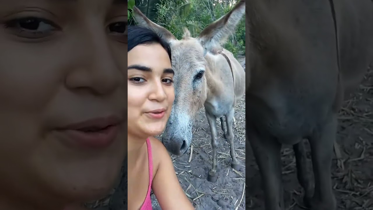 Meet My New Best Friends! So Adorable 🐴