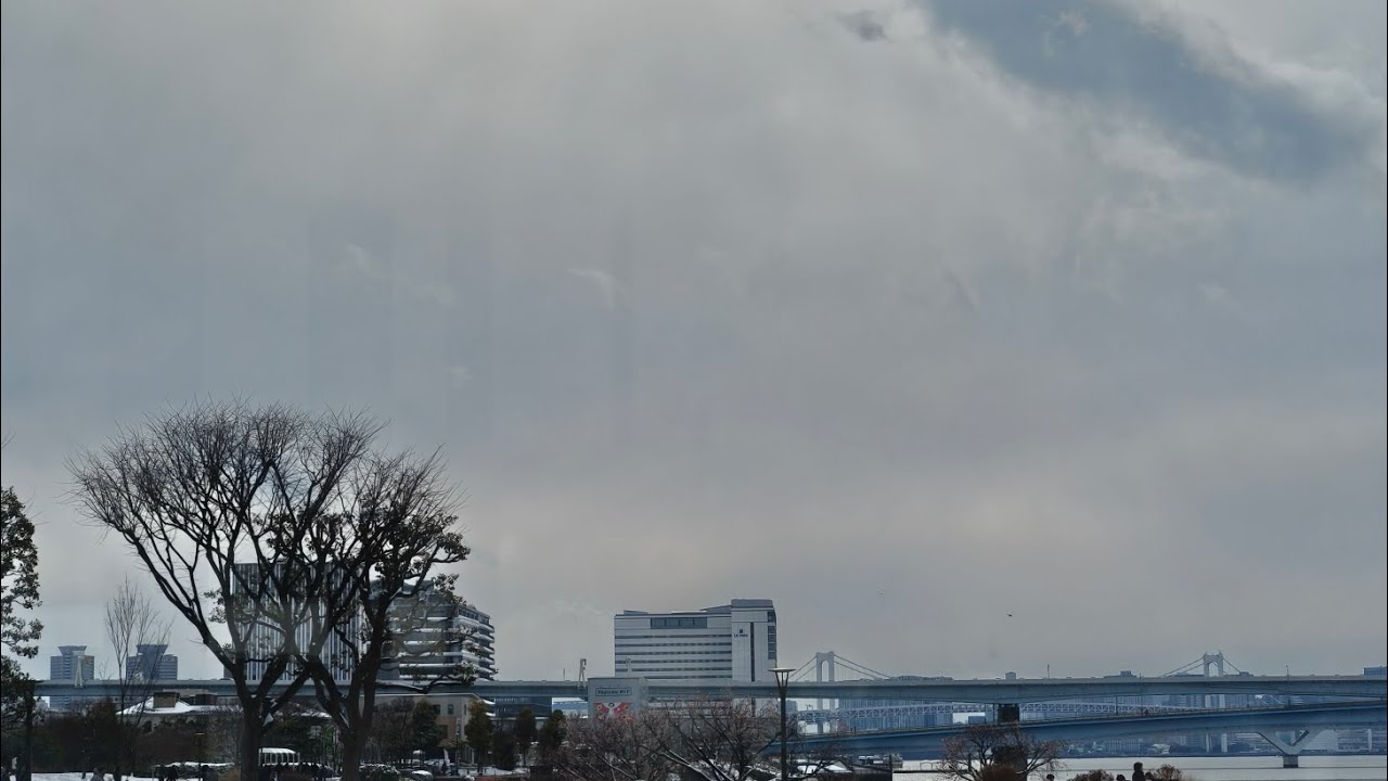 Snow In Tokyo Feb 8th 2026 view from my window (4K)