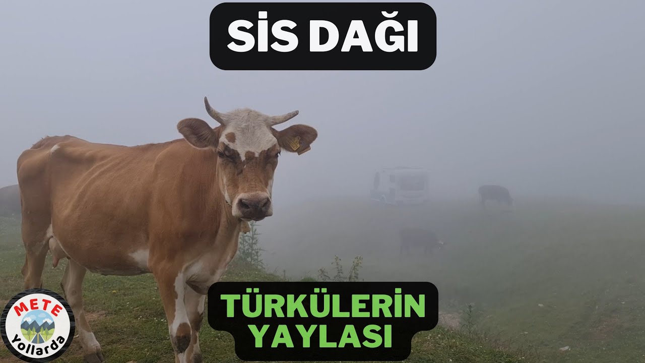 Sis Dağı Yaylası 🌲Giresun ve Trabzon'un Ortak Yaylası. Temmuz Ayında Donduk ⛄