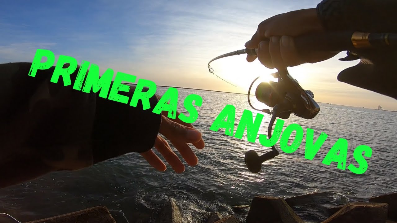 EN BUSCA DE DEPREDADORES POR MAZAGÓN || Spinning Pesca en Huelva
