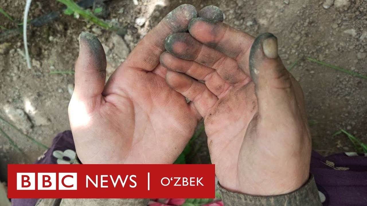 Қўлингизга крем сурасизми -  Журналист мардикор аёллар орасида нималарни кўрди?  BBC News O'zbek
