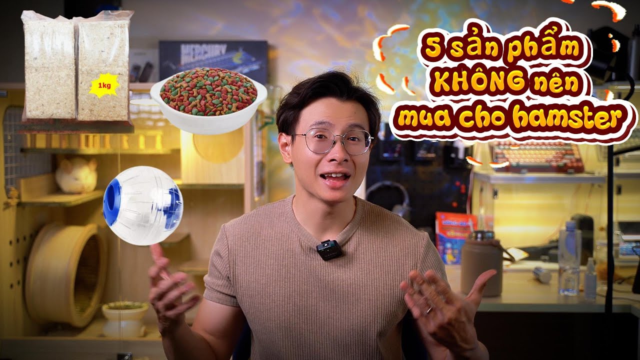99% người mới nuôi Hamster đều mua sai 5 món này 
