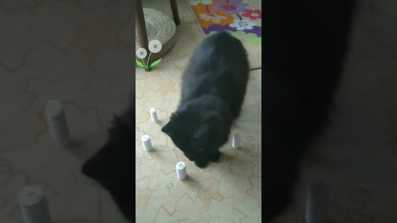 Deft Paws / Очумелые лапки 