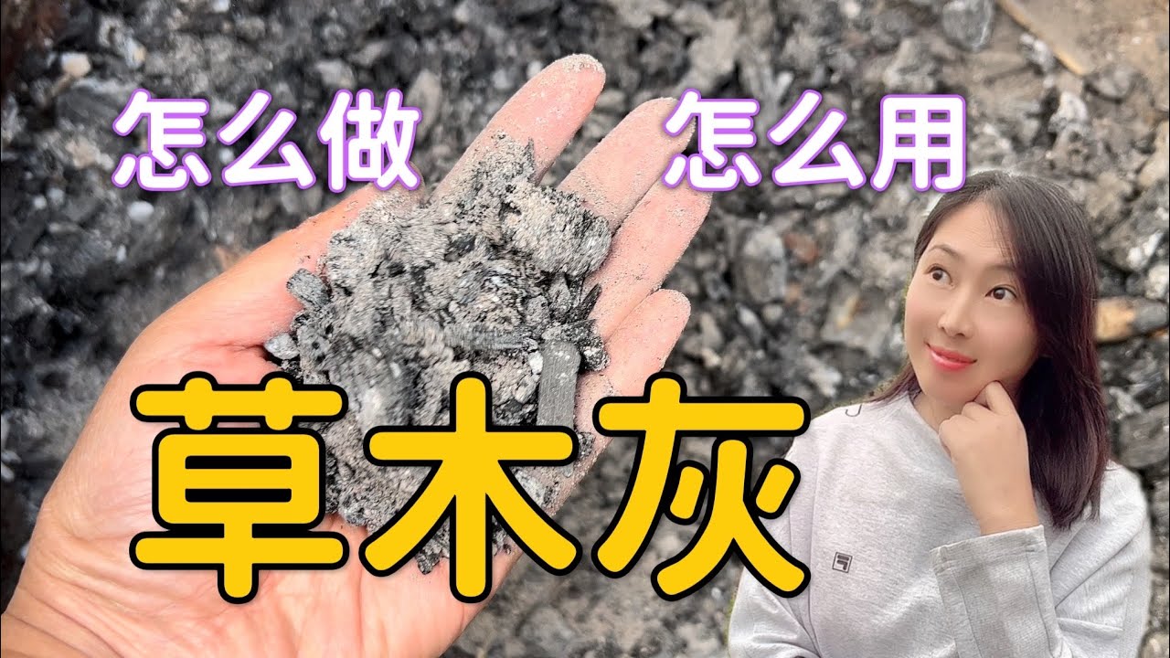 【种植78】最好钾肥草木灰怎么做? 怎么用? 烧烤碳灰能当草木灰用吗？How to make and use woodash? Does BBQ charcoal ash can be used?