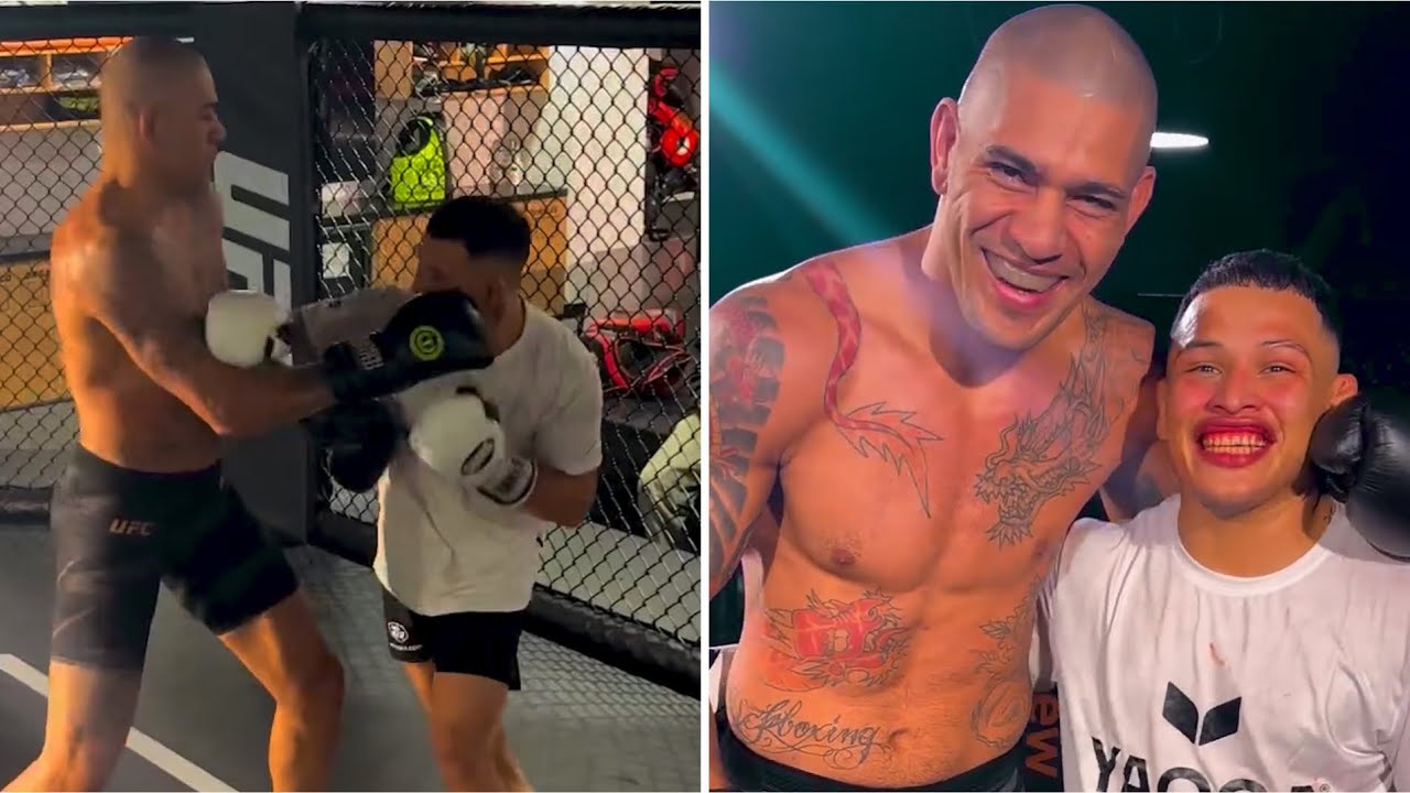 ALEX PEREIRA SPARRING 125 LB UFC FLYWEIGHT LAZY BOY RODRIGUEZ