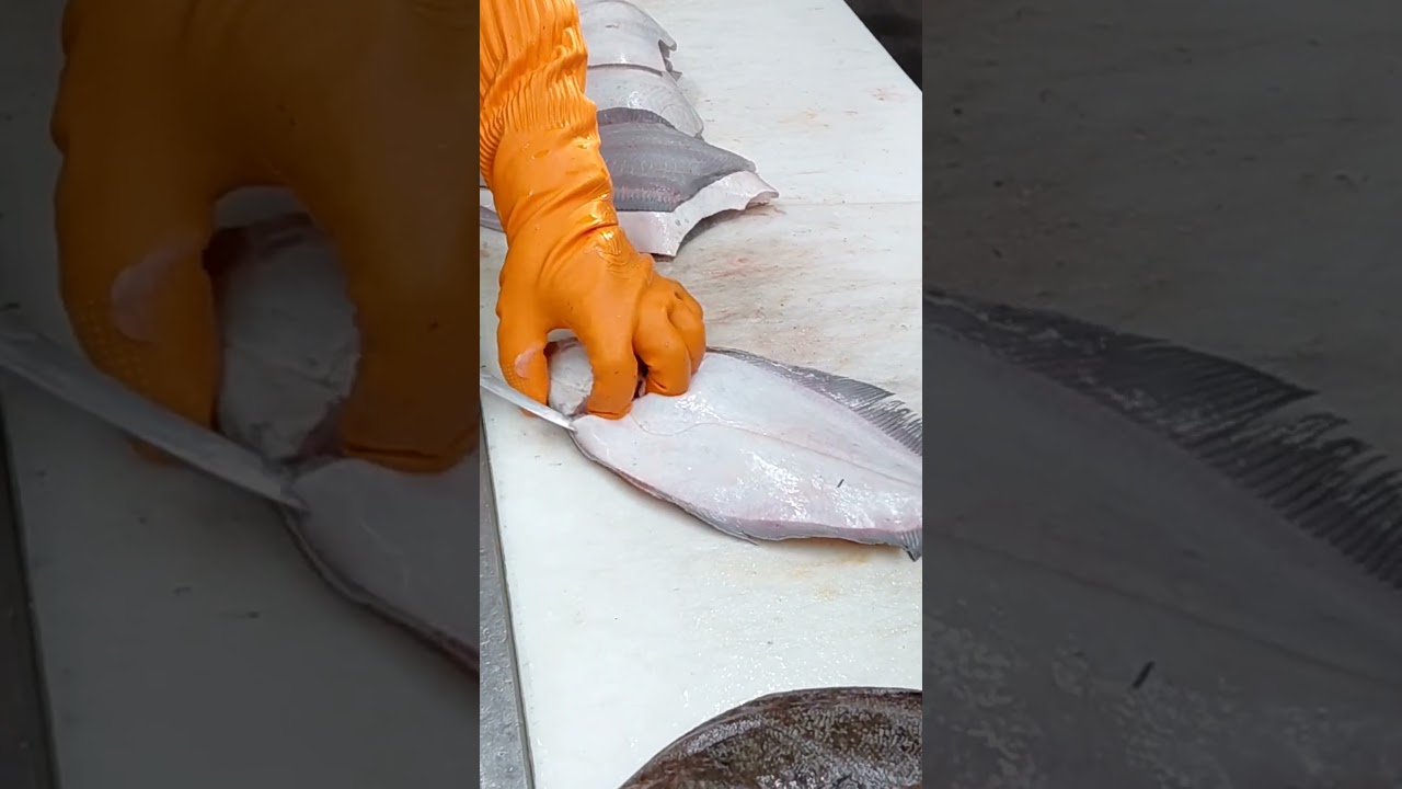 Flounder fillet