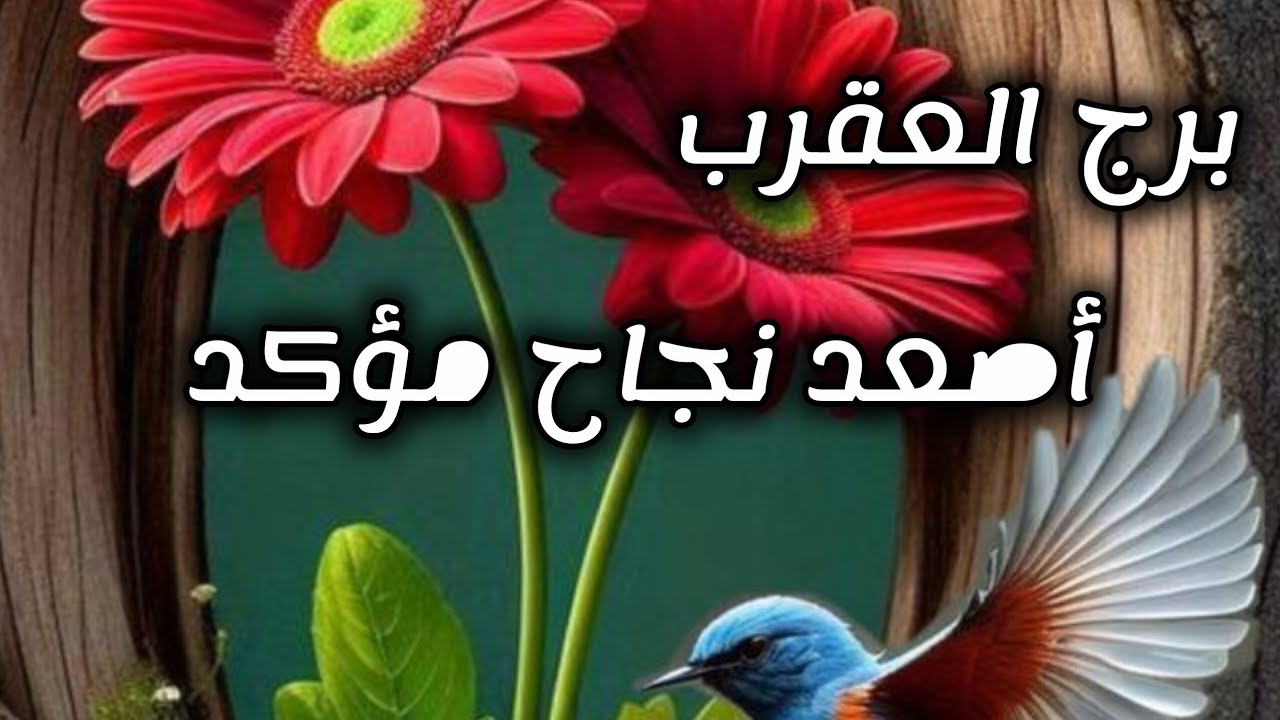 برج العقرب* قلبك ⁉️⁉️يأخذك له🥰🥰🥰🥰🥰🥰 ولاتنتظر/طاقة زمنية مفتوحة للفترة القادمة يوليو2025