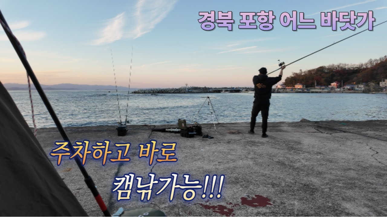 차박 낚시 !! 주차하고 텐트피고 바로 낚시가능 ! 포항의 어느 바닷가! #캠낚 #캠핑 #볼락루어 #볼락낚시 #원투낚시 #낚시 #생활낚시 #차박 