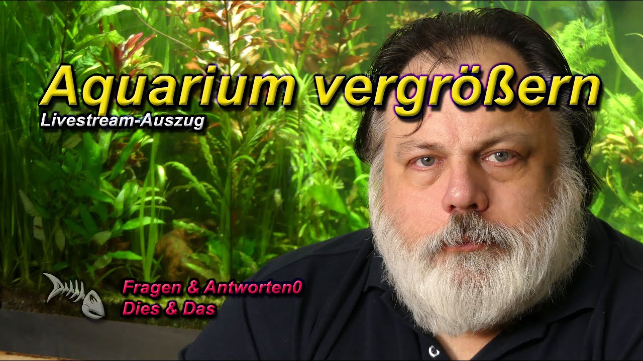 AQUARIUM VERGRÖSSERN - Wie gehe ich vor, wenn ich ein größeres Aquarium aufbauen möchte?