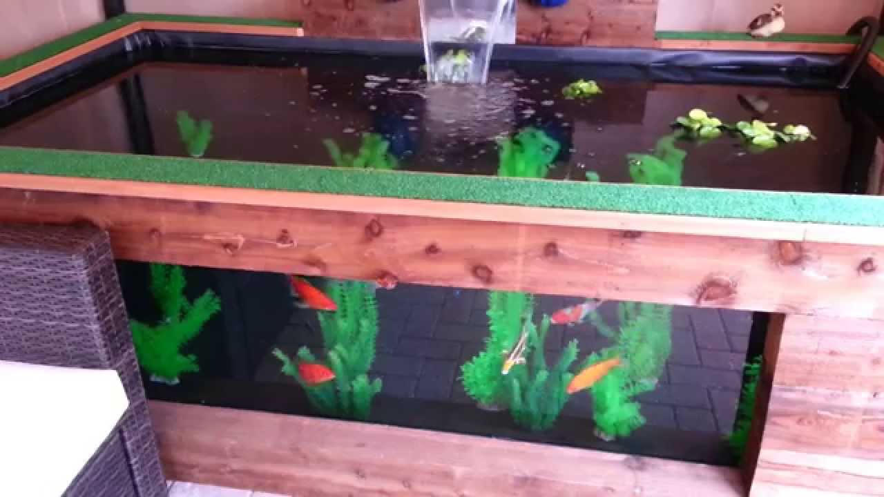 Raised Pond with viewing window ( part 1 of 3 )