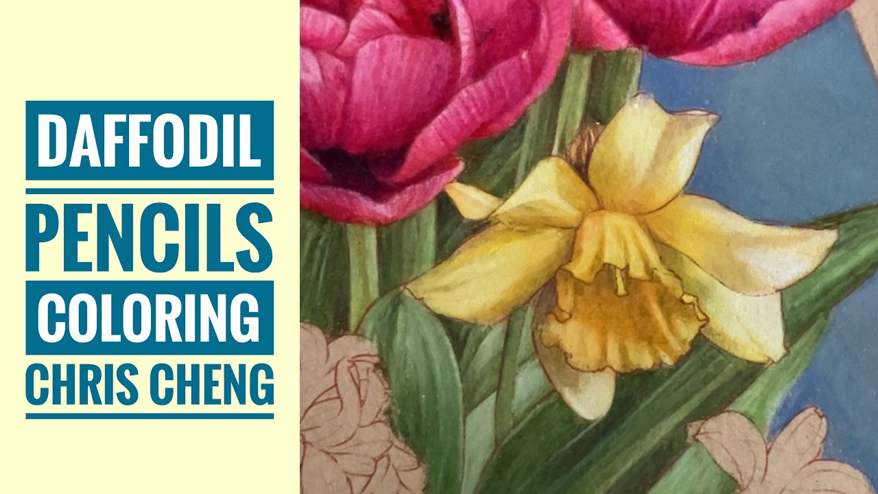 DAFFODIL Pencils Coloring | Part 2 - From 