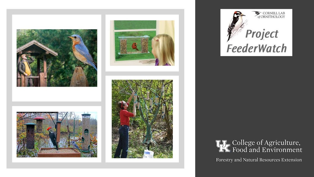 Project FeederWatch