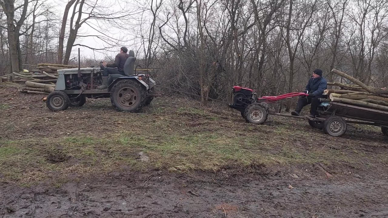 Перевозимо, дрова з сусідом мотоблоком і долучили мого трактора до роботи!!!
