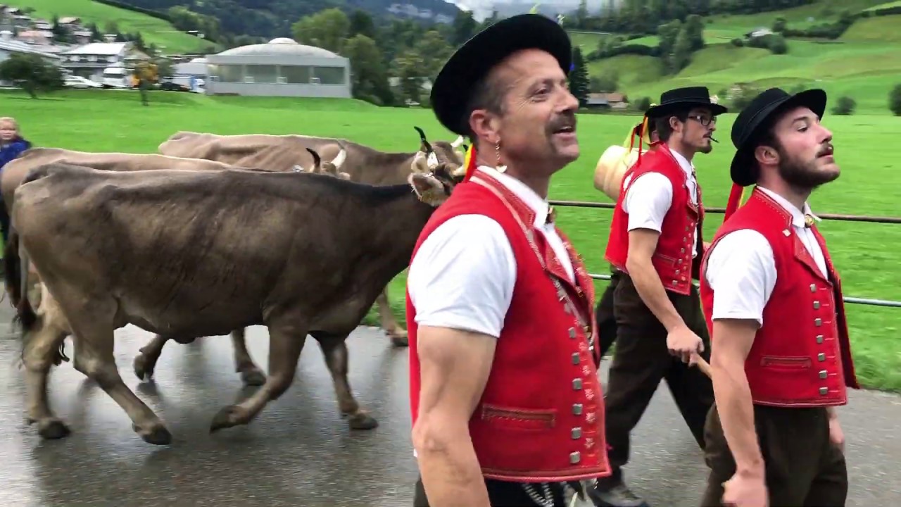 Film-Rohmaterial Nesslauer Viehschau 2019 Teil 2 ( 08.39 bis 08.54 Uhr ) im schönen Toggenburg