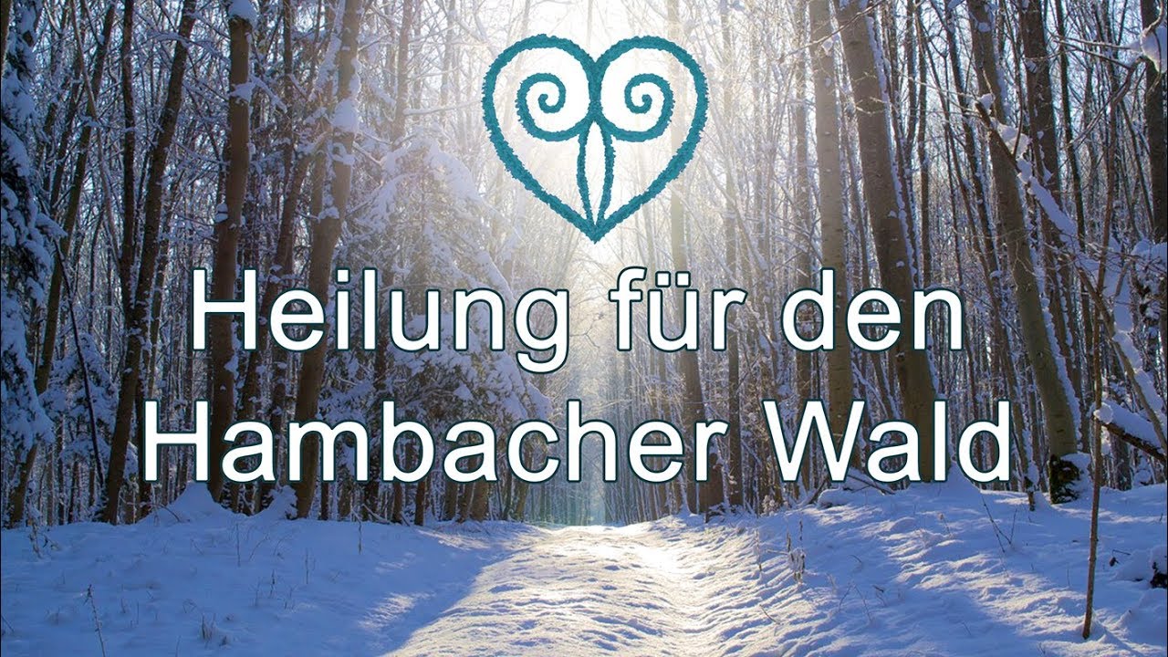 Heilung für den Hambacher Wald