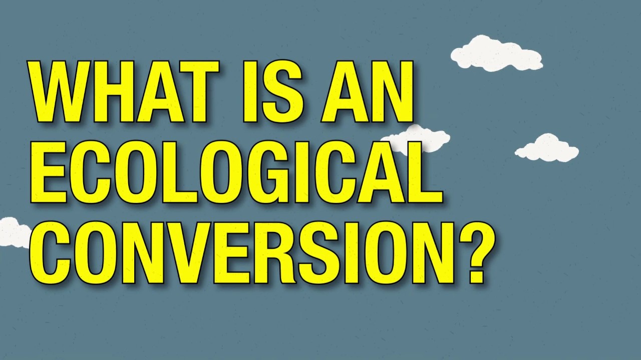 What is an ecological conversion?
