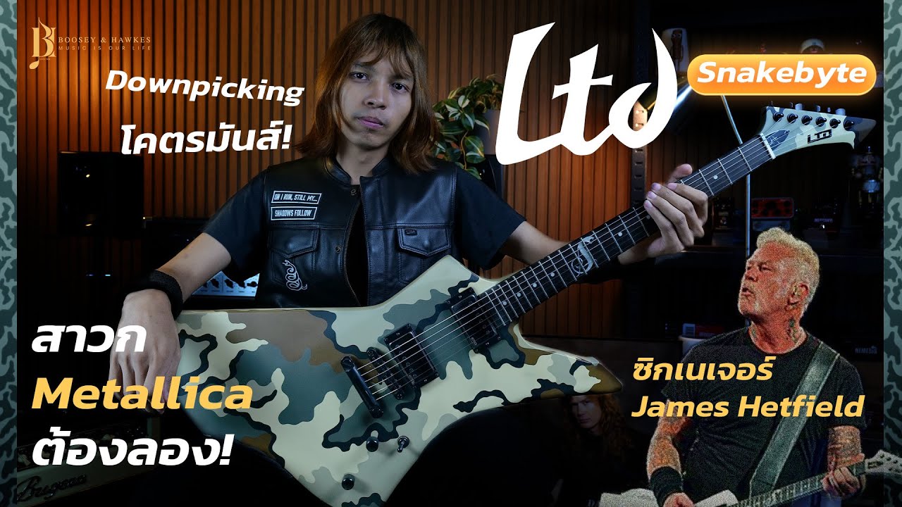 Metallica - Shadows Follow [Guitar Cover] | LTD James Hetfield Signature Snakebyte Camo