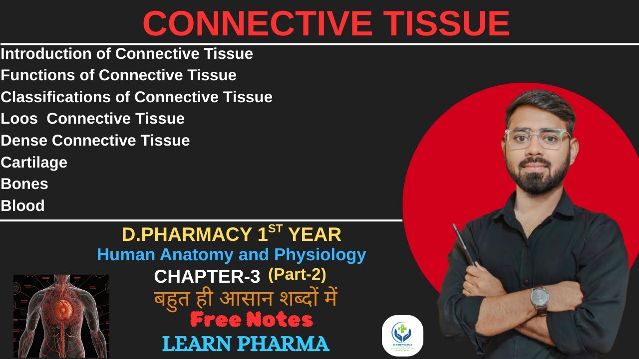 Tissue: Connective Tissue | HAP | D. Pharmacy 1st year | Learn pharma