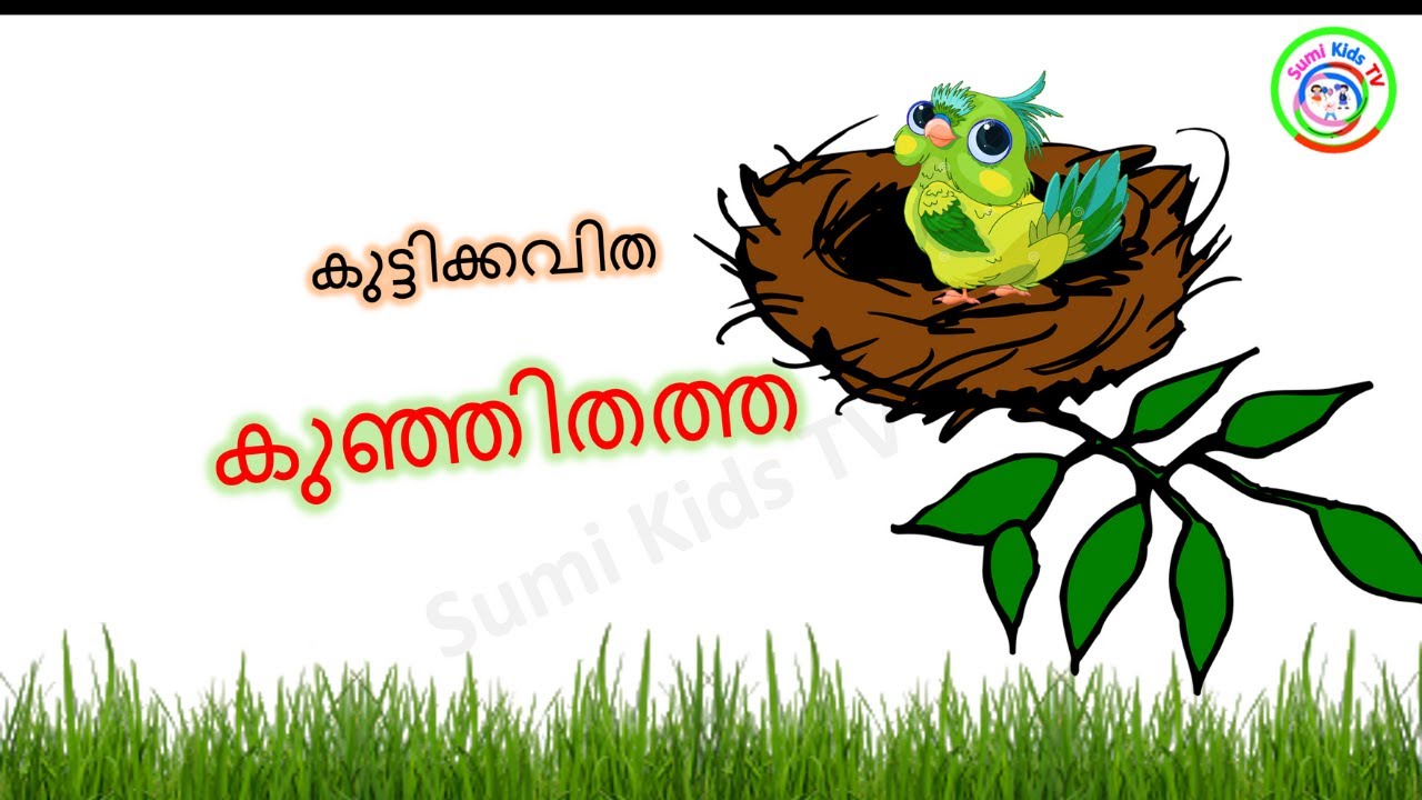 കുഞ്ഞിതത്ത കുട്ടിക്കവിത|  kunjithatha song | kuttikkavitha | Malayalam Poem for Kids | thathamma