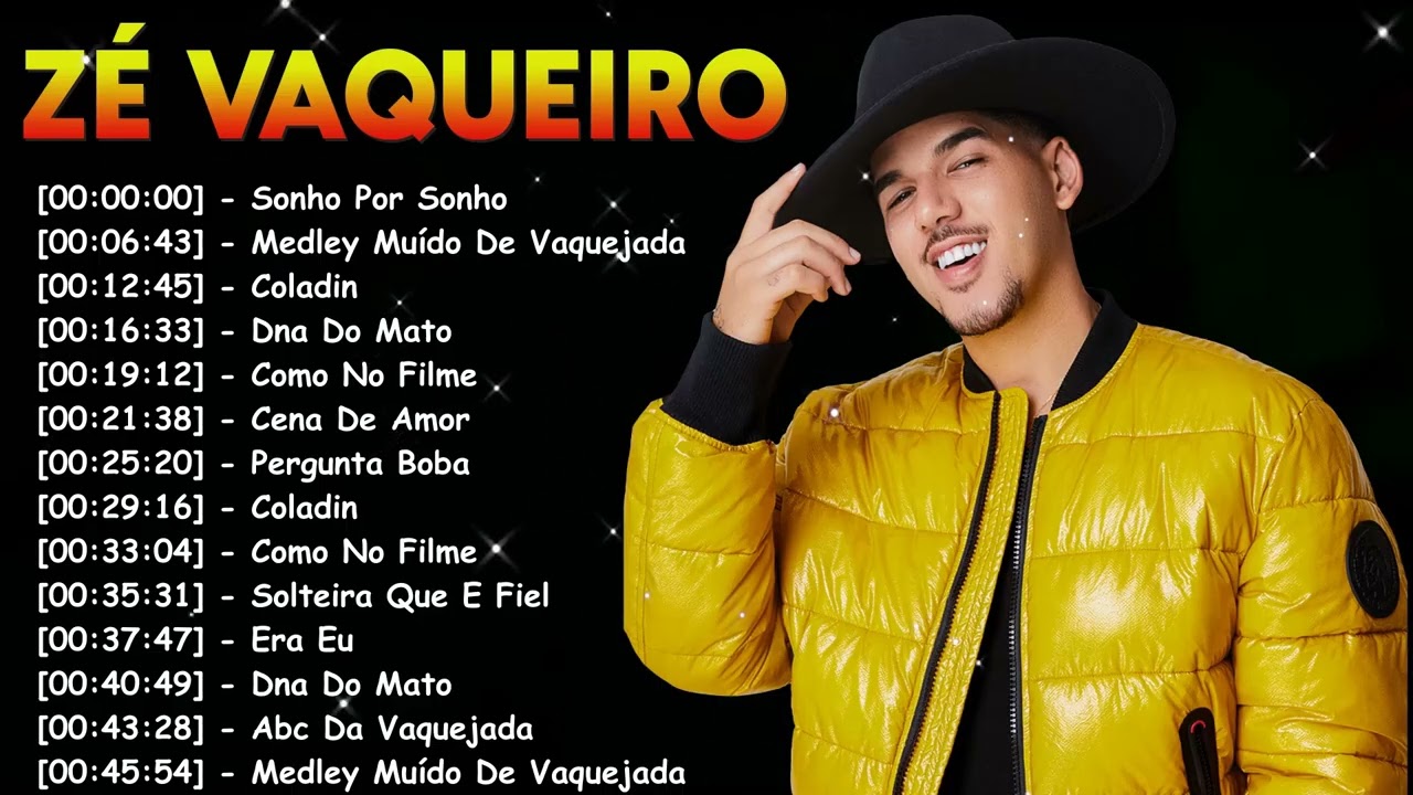 Zé Vaqueiro Playlist Completa 2026 | Piseiro Que Está Dominando o Momento