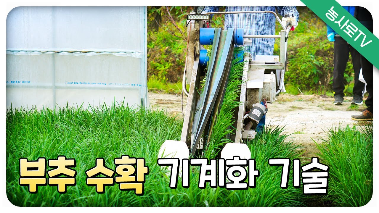 [농업기술동영상] 부추 수확 기계화 기술