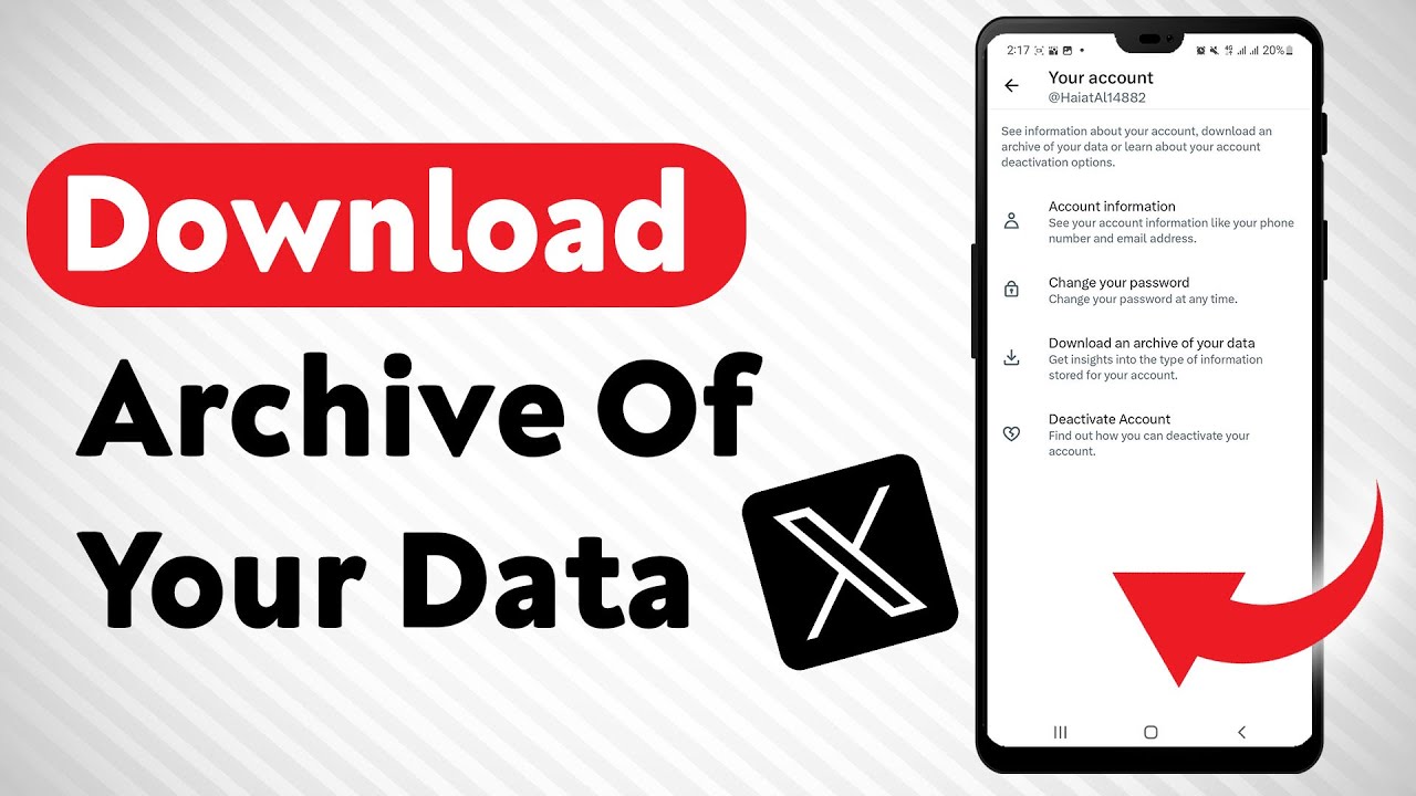 How To Download An Archive Of Your X's Data - Full Guide