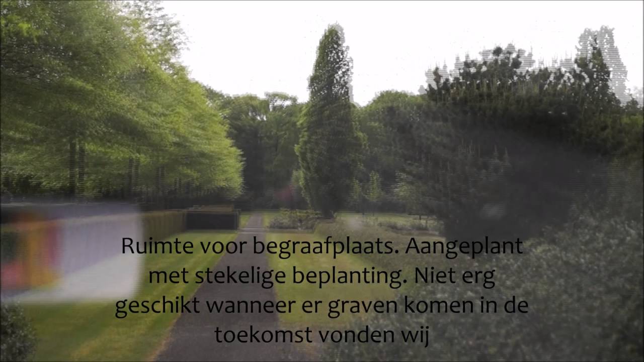 Beheerproject Algemene Begraafplaats Ermelo