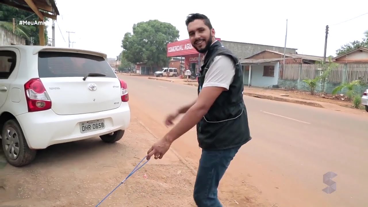 Princesa: veja dicas para ensinar seu cachorro a usar a guia