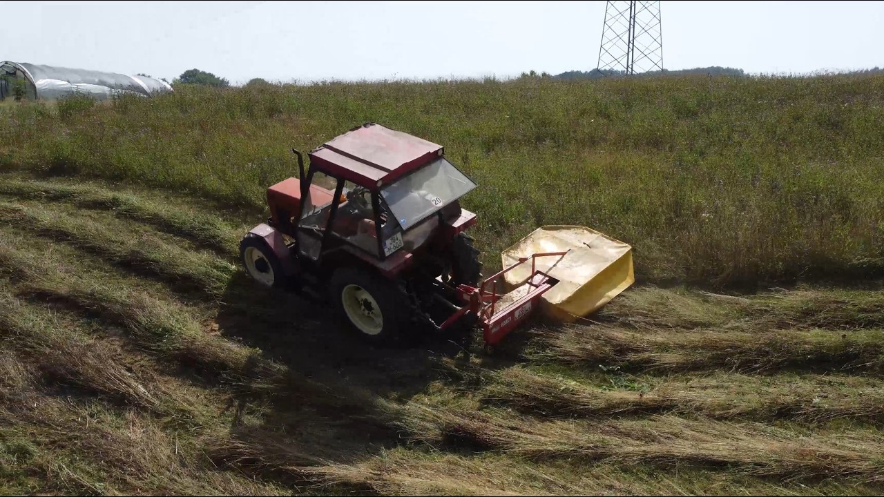 Zetor 5245 и Same Argon 80 — скашивание скошенной травы и прессование | Welger AP 630 | Lisicki Z...