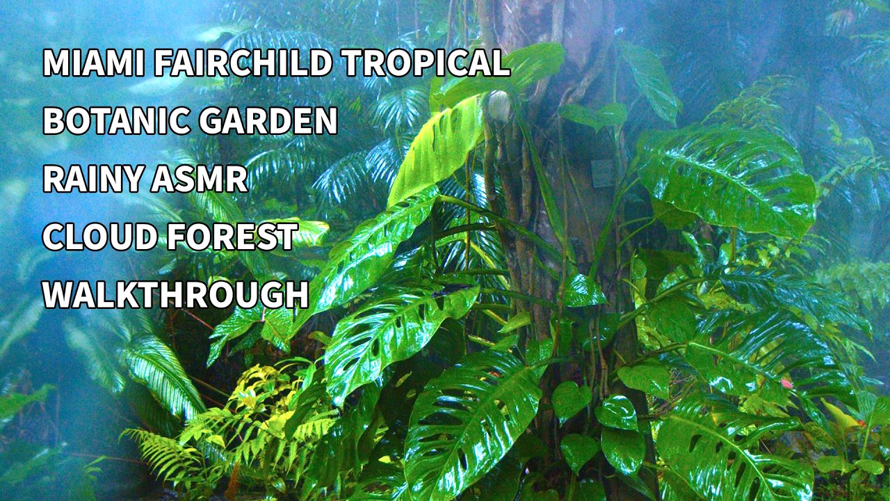 Rainy Relaxing Botanical Tour at Fairchild Tropical Botanic Garden