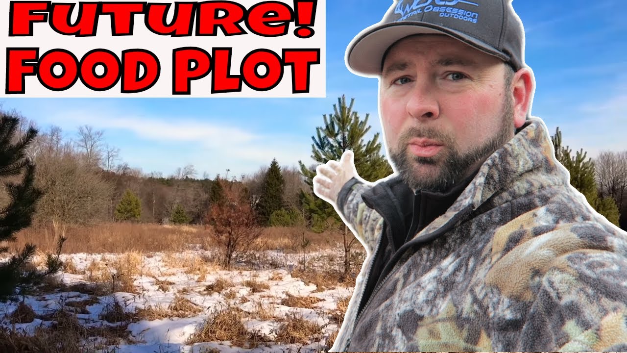 Quick Look Into Food Plot Strategies For 2018!