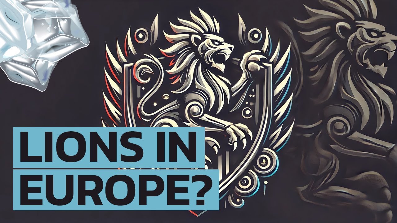Why are lions to be found in European heraldry? Lion Symbols Middle Age History Advice