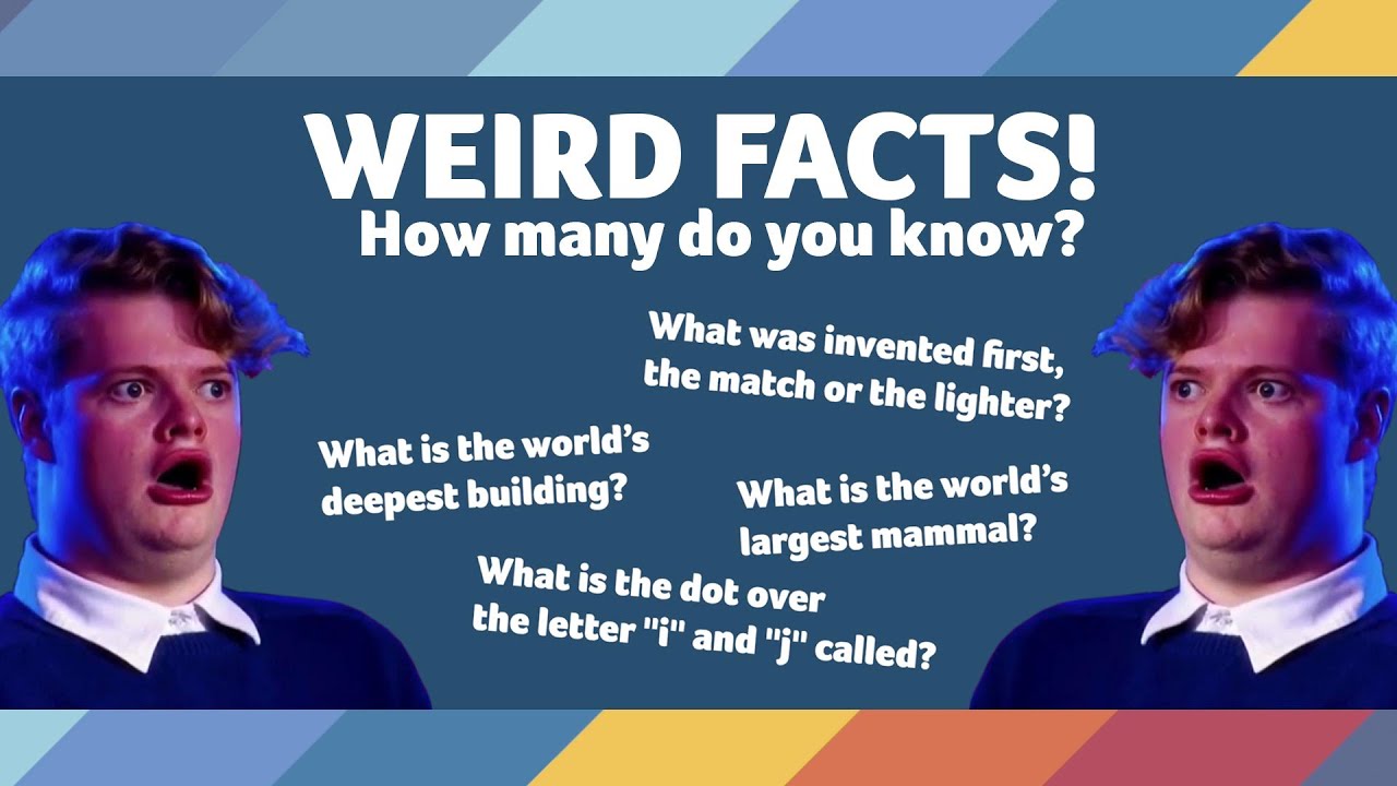 WEIRD FACTS QUIZ - 10 Trivia Questions to Tickle Your Brain