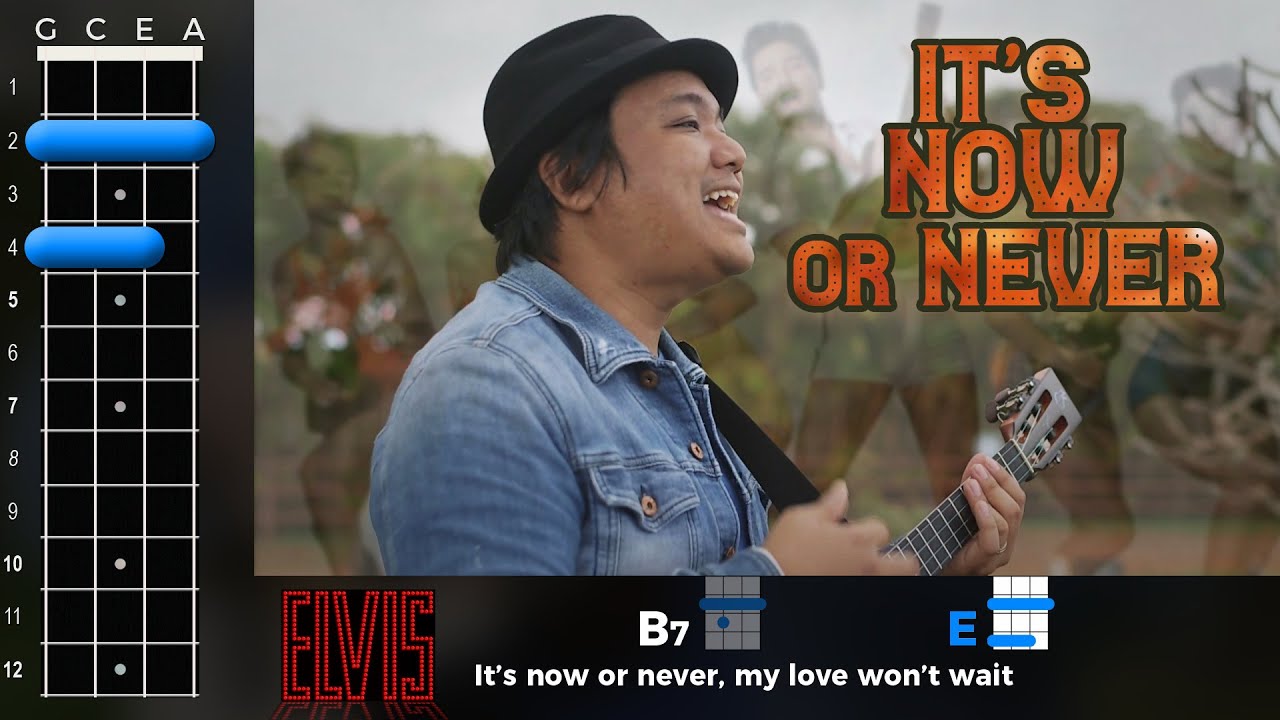 ELVIS - 