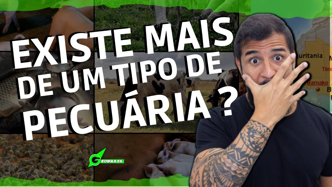 O QUE É PECUÁRIA - GEOBRASIL {PROF. RODRIGO RODRIGUES}