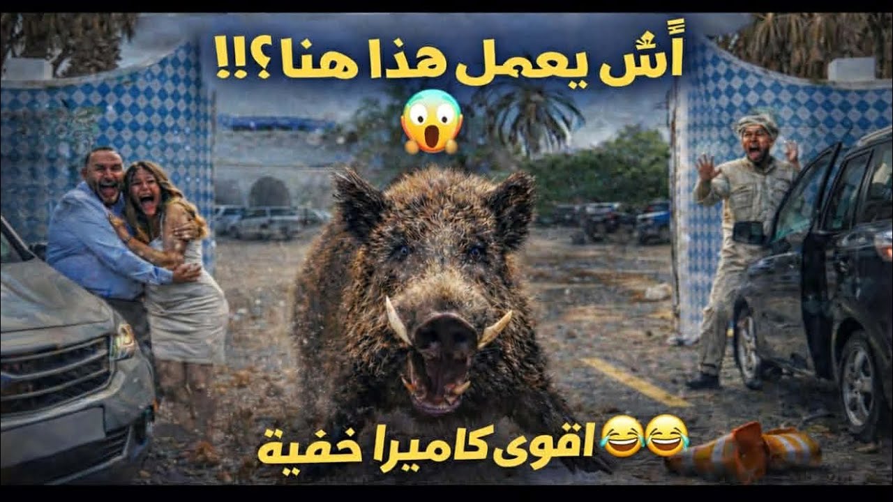 خنزير هايج في نزل 😱 ردود فعل الحراس 😂 | كاميرا خفية