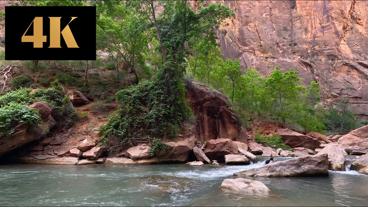 60 Minutes of a Relaxing River in Zion National Park | 4K