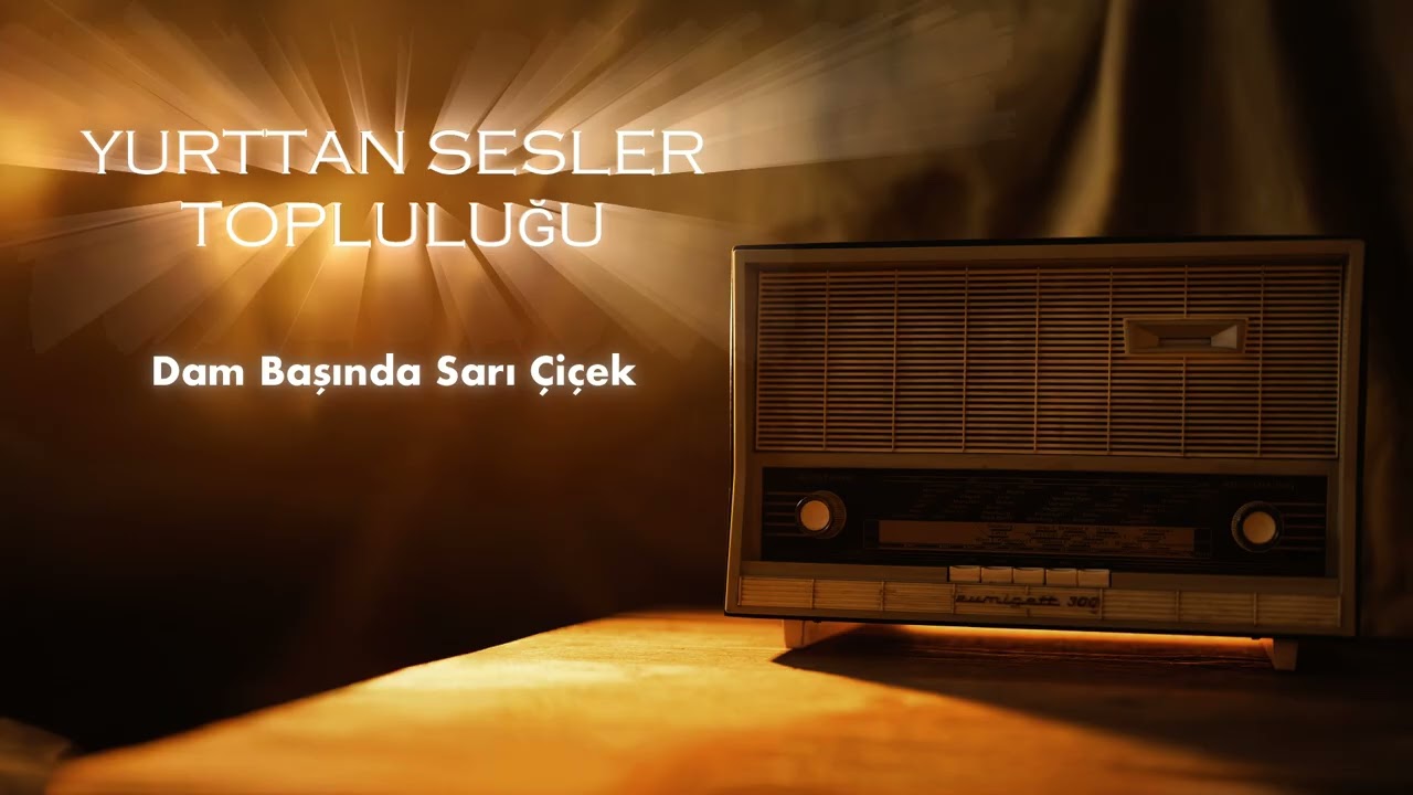 RADYO TÜRKÜLERİ 24