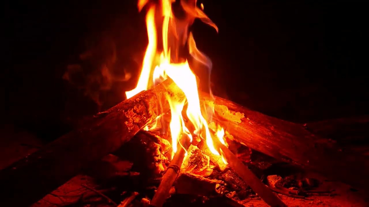 ASMR Sleep-Inducing Bonfire, Burning Firewood, Cricket chirping, White Noise 🔥